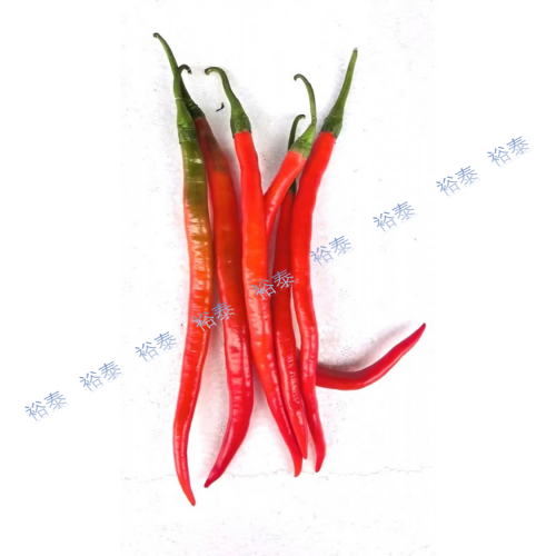 二荊條（紅色）